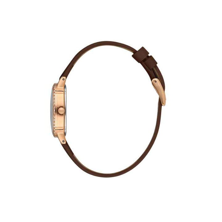 Daniel Klein Women Genuine Leather Dark Brown Watch DK1139433