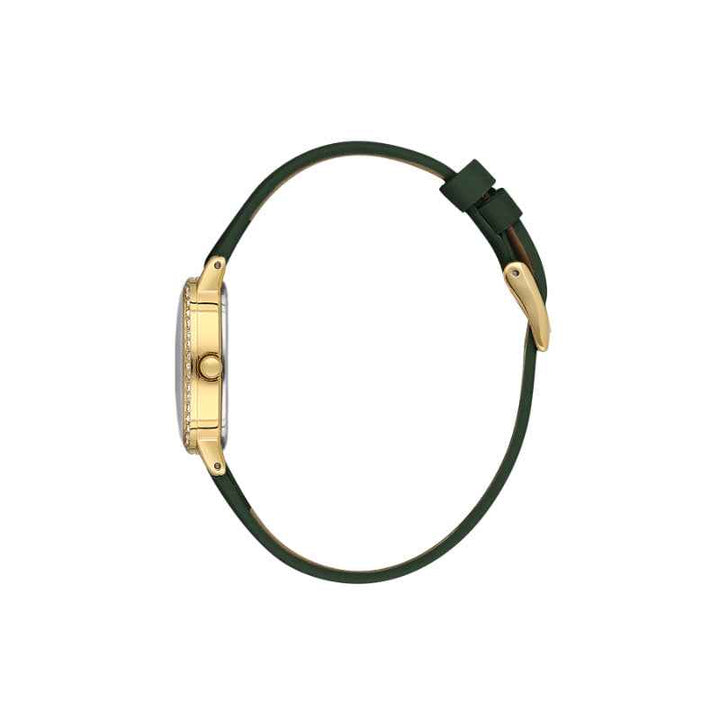 Daniel Klein Women Genuine Leather Dark Green Watch DK1139434