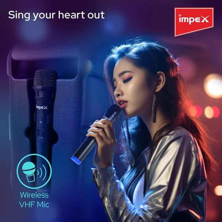 Impex Trolly Speaker Bluetooth 1800mAh 800W IMTS4001A