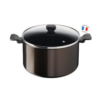 Tefal Easy Cook & clean Non-Stick Cooking Pot With Lid 30 cm TFB5546902